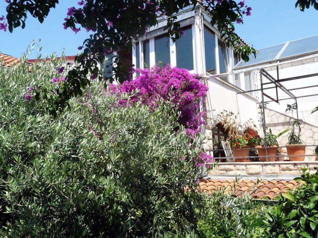 Villa Tania Hvar Town Eksteriør bilde